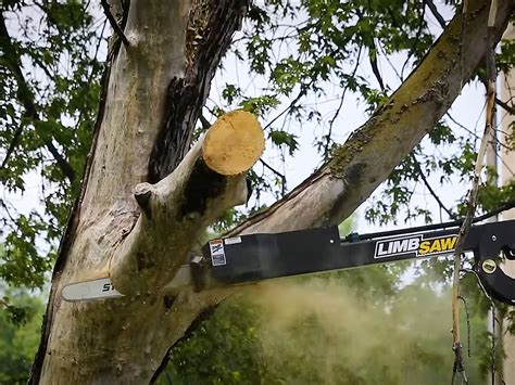 skid steer branch saw|skid steer limb buster.